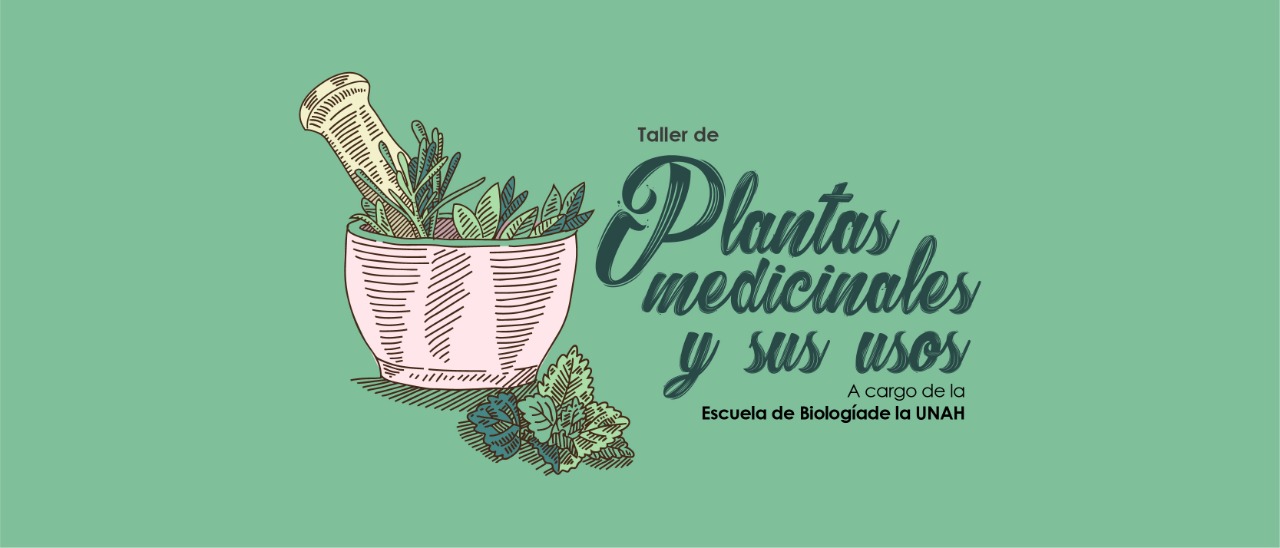 Taller De Plantas Medicinales Y Sus Usos – Centro Cultural De España ...